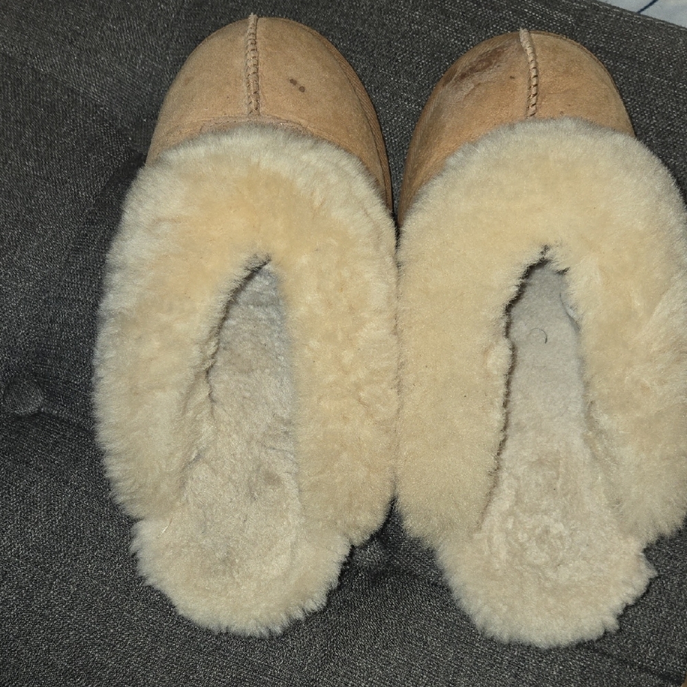 UGG Chestnut Cluggette Woman - Picture 6 of 6
